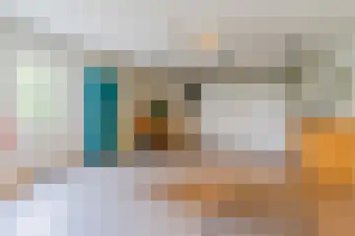 Schouwberg 2 Hapert thumbnail 27