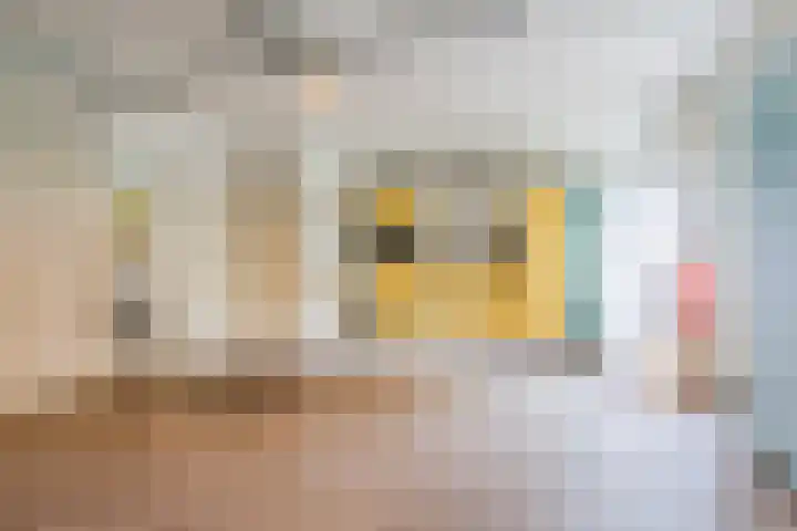 Schouwberg 2 Hapert thumbnail 28