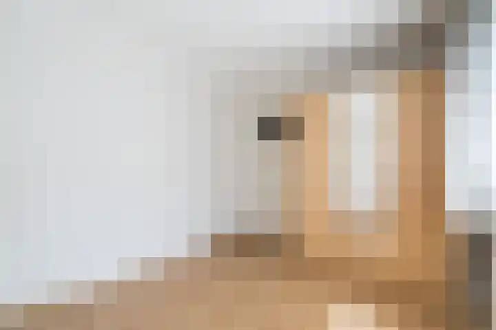 Schouwberg 2 Hapert thumbnail 30