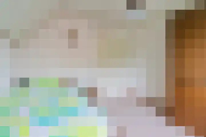 Schouwberg 2 Hapert thumbnail 32
