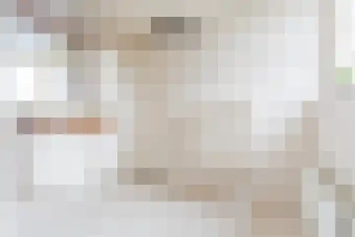 Schouwberg 2 Hapert thumbnail 35
