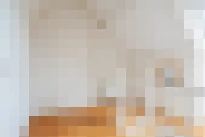 Schouwberg 2 Hapert thumbnail 36