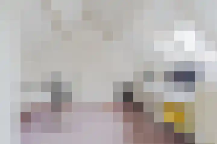 Schouwberg 2 Hapert thumbnail 38