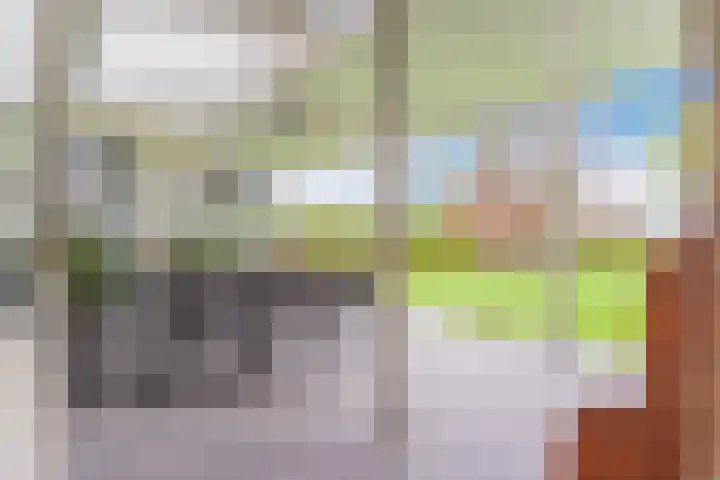 Schouwberg 2 Hapert thumbnail 39