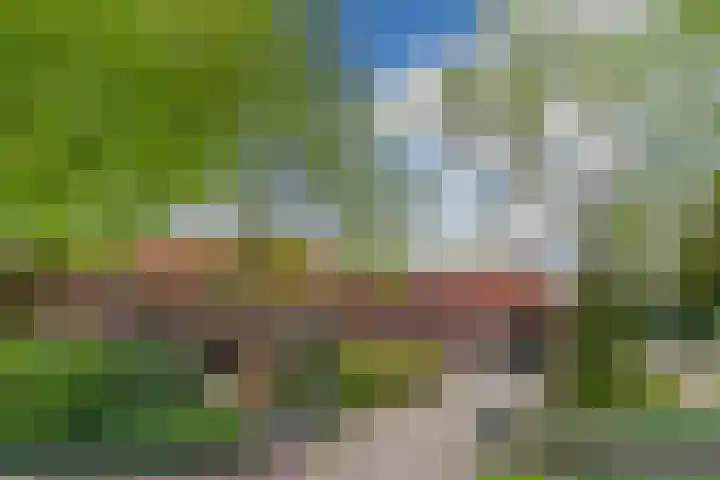 Schouwberg 2 Hapert thumbnail 4