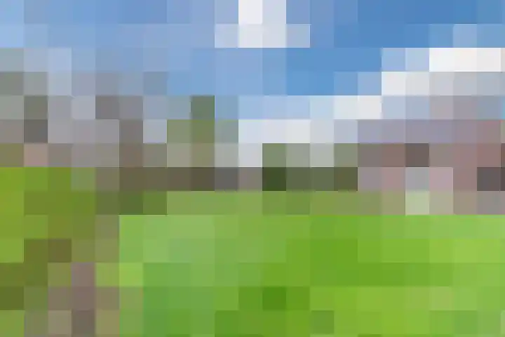 Schouwberg 2 Hapert thumbnail 40