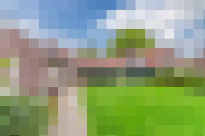 Schouwberg 2 Hapert thumbnail 41