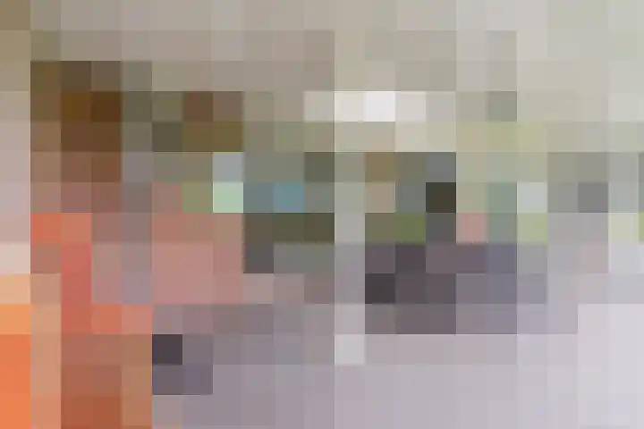 Schouwberg 2 Hapert thumbnail 42