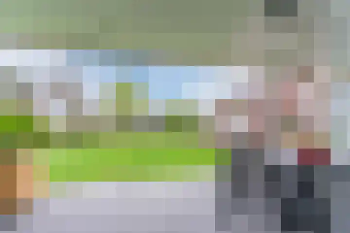 Schouwberg 2 Hapert thumbnail 45