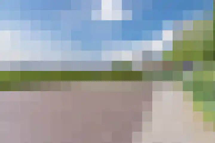 Schouwberg 2 Hapert thumbnail 48