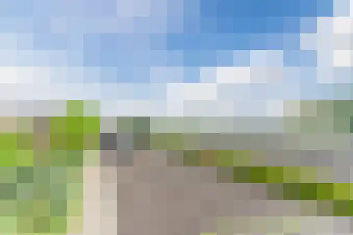 Schouwberg 2 Hapert thumbnail 49