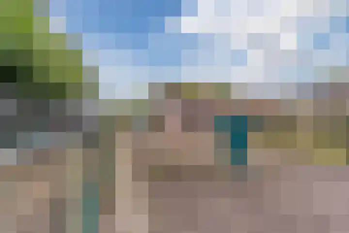 Schouwberg 2 Hapert thumbnail 52