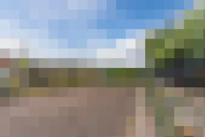 Schouwberg 2 Hapert thumbnail 53