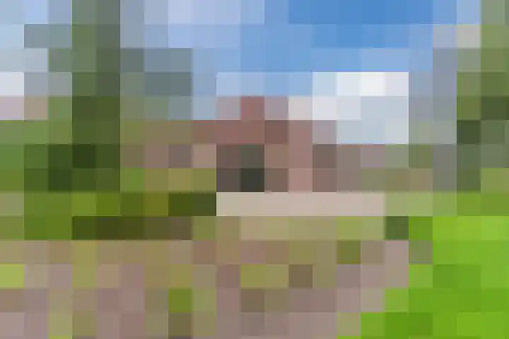 Schouwberg 2 Hapert thumbnail 55