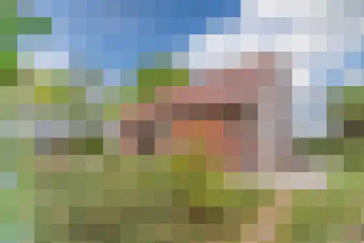 Schouwberg 2 Hapert thumbnail 56