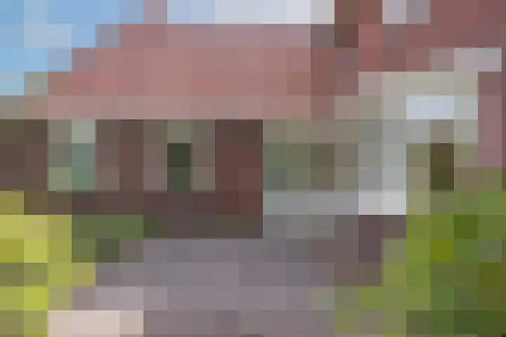 Schouwberg 2 Hapert thumbnail 58