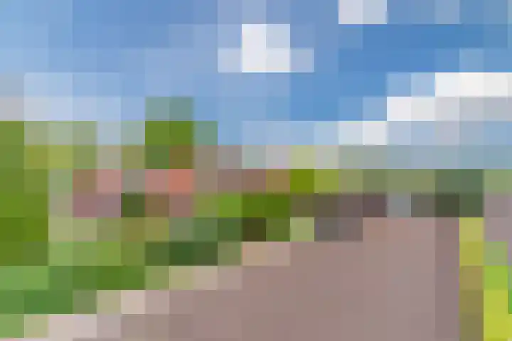 Schouwberg 2 Hapert thumbnail 59