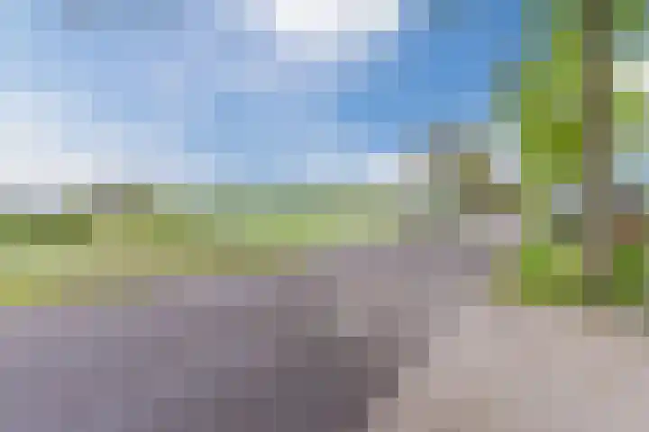 Schouwberg 2 Hapert thumbnail 60