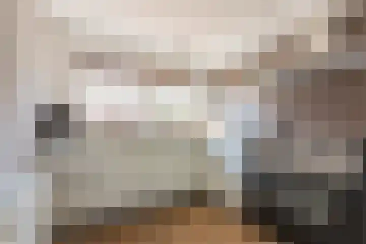 Schouwberg 2 Hapert thumbnail 65