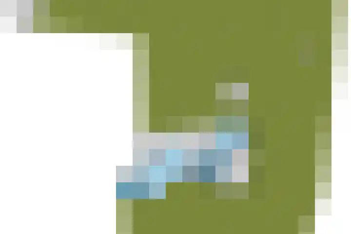 Schouwberg 2 Hapert thumbnail 65