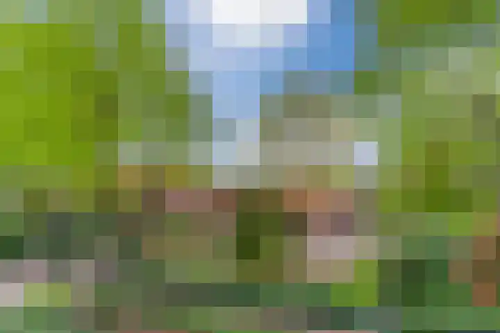 Schouwberg 2 Hapert thumbnail 69