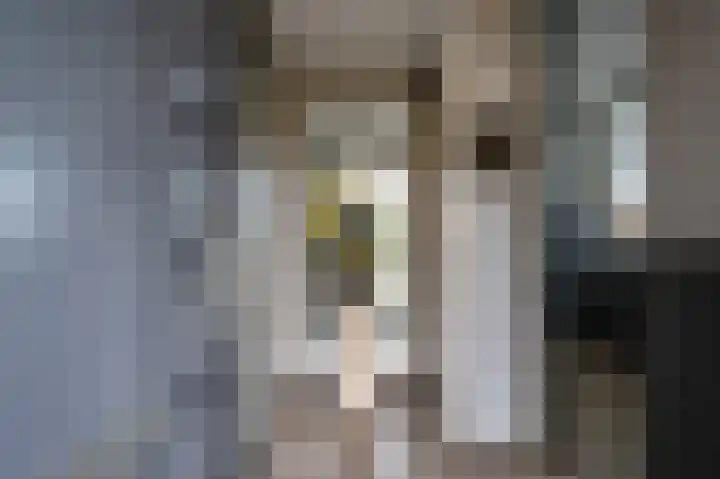 Schouwen 64 Emmeloord thumbnail 4