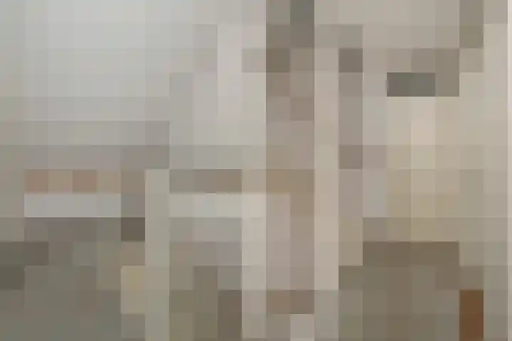 Schouwwerf 18 Gouda thumbnail 13