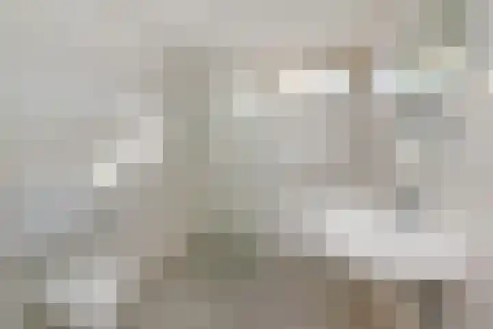 Schouwwerf 18 Gouda thumbnail 4