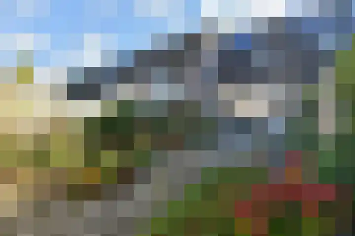 Schouwwerf 18 Gouda thumbnail 5