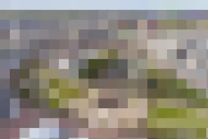 Schouwwerf 18 Gouda thumbnail 6