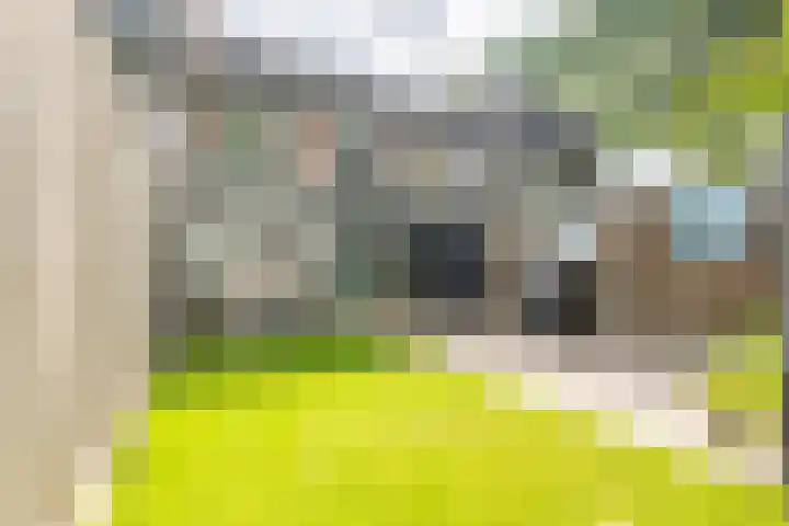 Schovenhof 3 Heerlen thumbnail 25