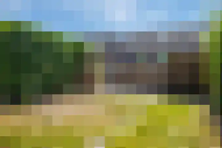 Schraaweide 10 Westervoort thumbnail 19