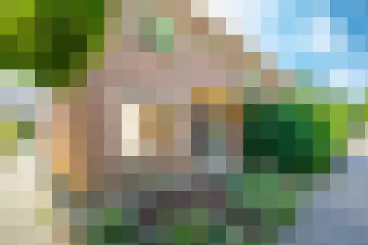 Schraaweide 10 Westervoort thumbnail 7