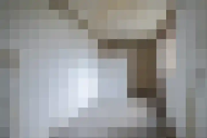 Schraaweide 44 Westervoort thumbnail 17