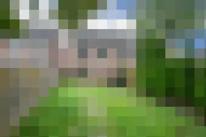Schraaweide 44 Westervoort thumbnail 21