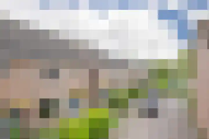 Schraaweide 44 Westervoort thumbnail 7
