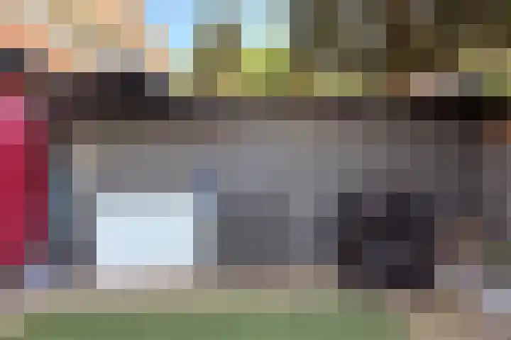 Schrabber 52 Den Haag thumbnail 14
