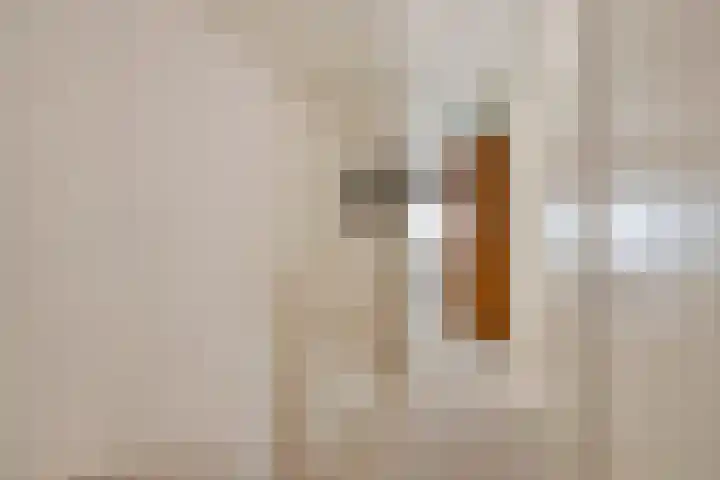 Schrabber 52 Den Haag thumbnail 16