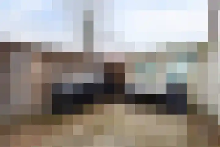 Schrabber 52 Den Haag thumbnail 17