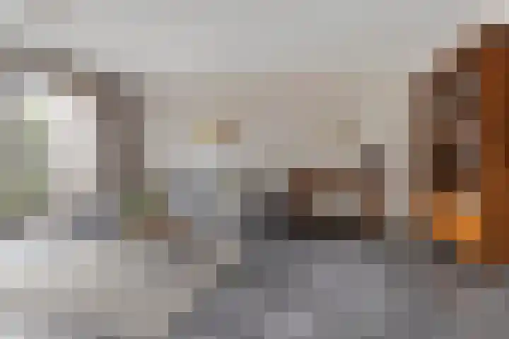 Schrabber 52 Den Haag thumbnail 22