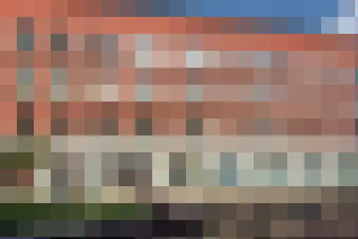 Schrabber 52 Den Haag thumbnail 29