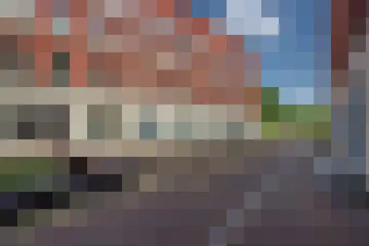 Schrabber 52 Den Haag thumbnail 30