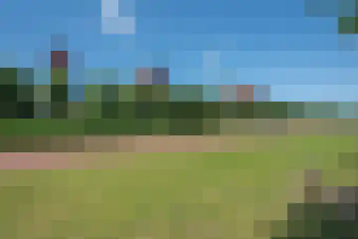 Schrabber 52 Den Haag thumbnail 32