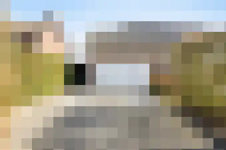 Schrabber 52 Den Haag thumbnail 34