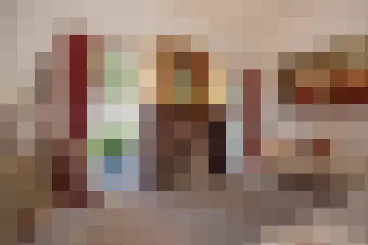 Schrabber 52 Den Haag thumbnail 6