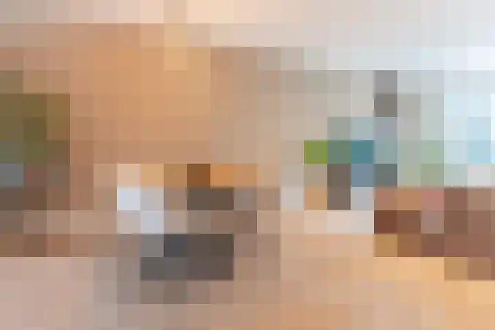 Schrappaardje 12 Best thumbnail 13
