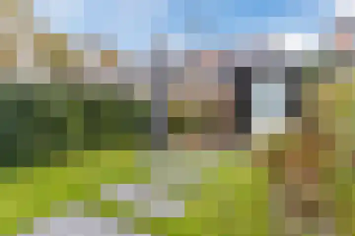 Schrappaardje 12 Best thumbnail 29