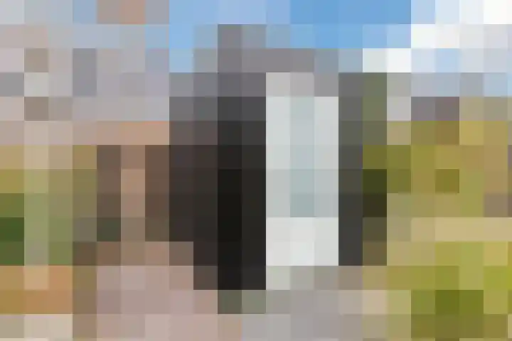 Schrappaardje 12 Best thumbnail 30