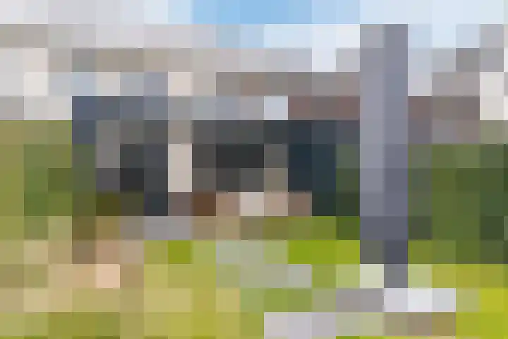 Schrappaardje 12 Best thumbnail 5