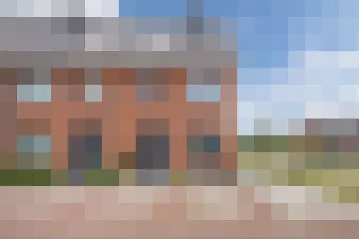 Schrappaardje 2 in Best